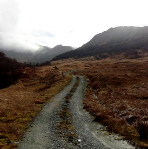 Successful Good Practice of Tracks on Landscape Impacts